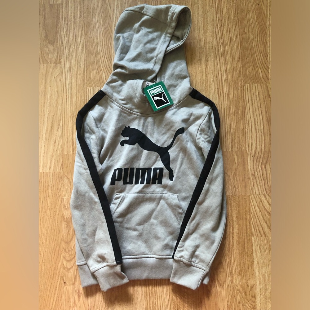 PUMA Little Kids' Pull Over Fleece Hoodie - Elephant Skin